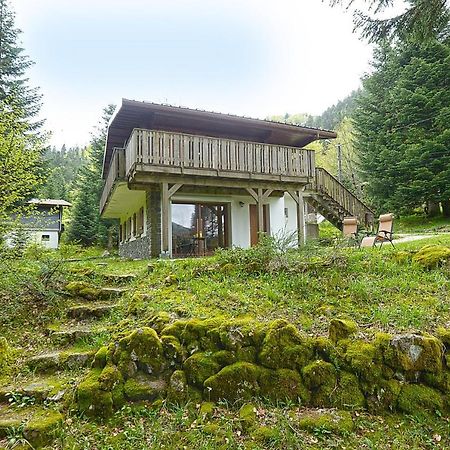 Le Schwarzwald - A Proximite Des Stations De Ski La Bresse Esterno foto