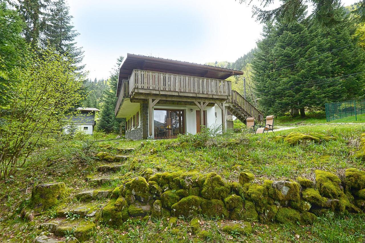 Le Schwarzwald - A Proximite Des Stations De Ski La Bresse Esterno foto